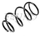 31336785082 06325 Suplex New Coil Spring