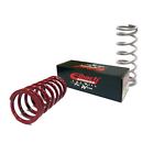 1000.250.0200 Eibach Spring 1000-250-0200 Red