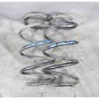 1091901 Bmw Touring Wagon Factory Front Axle Coil Spring Pair Oem