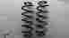 15182559 Gm Oem Rear Suspension Coil Springs