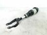 1663205666 Oem Front Right Passenger Suspension Strut