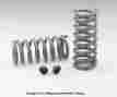 1902f Hotchkis Performance Coil Springs