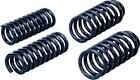 19104 Hotchkis New Coil Spring
