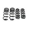 2061 Umi Performance Lowering Spring Kit Inch