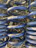 28811-1 Lowering Sport Springs Set Mercedes Benz Rwd Drop