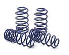 29076-9 Sport Spring For Amg