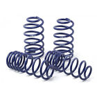 29780 H R Springs Lowering