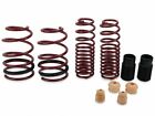 4.10035 Eibach Ford Mustang Performance Lowering Springs Kit
