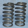4766-001 G16 Belltech Dodge Dakota Lowering Springs