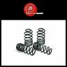 50881-4 Front And Rear Lowering Fits Dodge Coil Springs Charger Sport