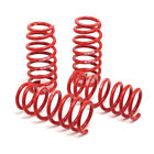 51650-99 H R Springs Lowering