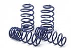 51810 H R Sport Springs