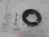 525-1252 Raybestos Professional Grade Coil Spring Seat