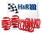 54754-88 Race Lowering Springs Jetta