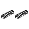 566-927 Dorman Premium Chassis Front Coil Springs 889245088437