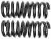 585-1412 Unbranded Raybestos Professional Grade Coil Spring Set