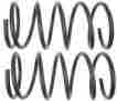 585-1438 829352827253 Raybestos Professional Grade Coil Spring Set 585-1438 829352827253 Raybestos Professional Grade Coil Spring Set