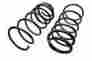 587-1006 Raybestos Professional Grade Coil Spring Set