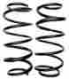 587-1139 Raybestos Professional Grade Coil Spring Set