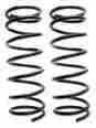 587-1142 Raybestos Professional Grade Coil Spring Set