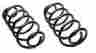 589-1022 747730412931 Raybestos Professional Grade Coil Spring Set