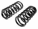 591-1079 Raybestos Professional Grade Coil Spring Set