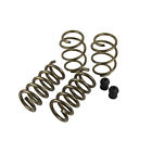 6130022 Hurst Spring Kit Stage 084829821510