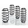 6379.140 Eibach Lowering Springs