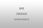 81459 Moog Chassis Parts Coil Spring