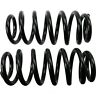 81747 Moog Rr Coil Springs