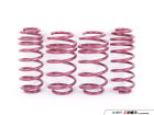 956032 Vogtland Sport Spring Set 4251244607760