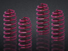 959042 Vogtland Lowering Springs 05-10