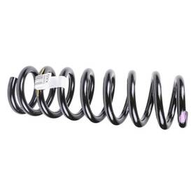 23426904 Acdelco Spring Frt Coil A