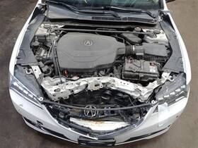 52611tz7a02 Acura Rear Strut 2015 Tlx Sku#3905046