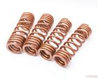 Ap-650s-200 Agency Power Lowering Springs