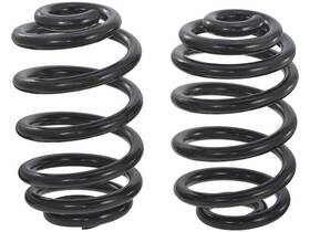 Jm82h9 Api Rear Coil Spring Set For 04-10 Bmw X3 3.0l 6 Cyl Pec Light Duty