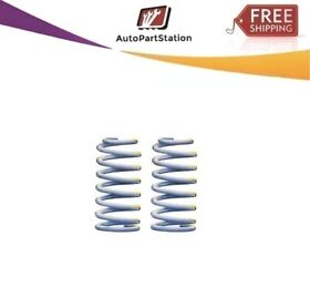 2899 Arb Coils Springs Pair Old Man Emu