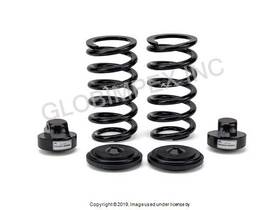 C-2896 Arnott Industries For Mercedes 2004-2009 Coil Spring Conversion Kit Rear 1