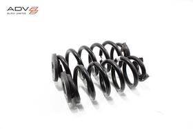 1ea512149 Audi Q4 E-tron Sportback Rear Left And Right Side Coil Spring Oem 2022-2024 -set