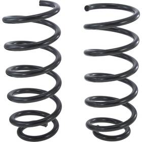 2704-481995 Autopart International Coil Spring Set For 99-05 Volkswagen Passat