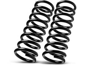 19yqxg Autopart Premium Front Coil Spring Set Fits Pontiac Lemans 1978-1981