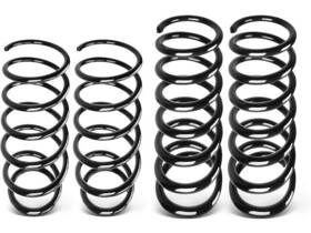 Wg99n5 Autopart Premium Coil Spring Set For 98-03 Toyota Sienna 3.0l V6 Ce Le Xle Limited