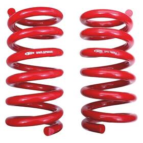 Sph767r Bmr Suspension For Ford Mustang 2015-2019 Rear Lowering Coil Springs