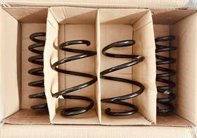 31331543689 Bmw Oem Coil Springs For G26 My 2022-2025