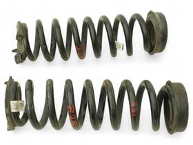 33536855543 Bmw 2013 - 2018 3 Series F30 328i Xdrive Coil Spring Strut Rear Left Right Oem