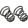 591-1033 Cc645 Moog Coil Spring Set Fits Pontiac Sunbird Grand 080066153247
