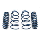 D100-0926 Dinan Performance Spring Set 813725020334