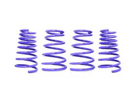 D-sp-to-10 D2 Racing Lowering Springs For 92-96 Toyota Camry