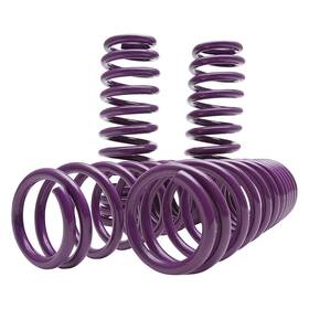 D-sp-ts-02 D2 Racing For Tesla 3 17-24 2 Inch X Pro Series Front And Rear Lowering Coil Springs