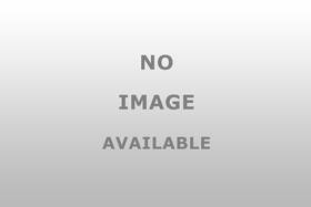 69-291 Dorman 69 291 Leaf Spring